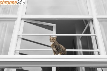 Olesno Siatka na balkon z małym oczkiem - na zabezpieczenie balkonu Sklep Olesno